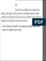 2.embedding & Sectioning