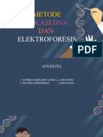 Isolasi Dna & Elektroforesis