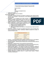 Estructura I Funció Del Múscul Durant L'exercici (LL)