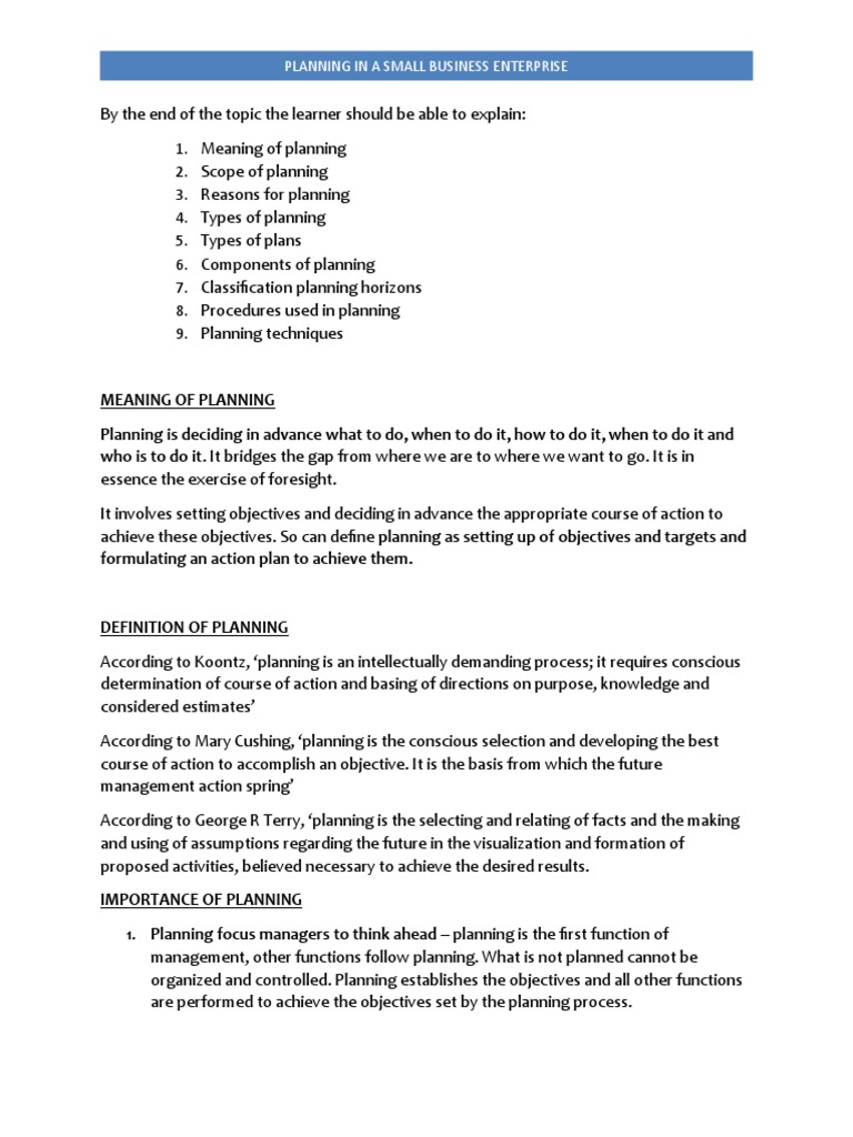 Understanding Planning in Business | PDF | Planning | Strategic Planning