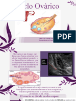 Ciclo Ovàrico