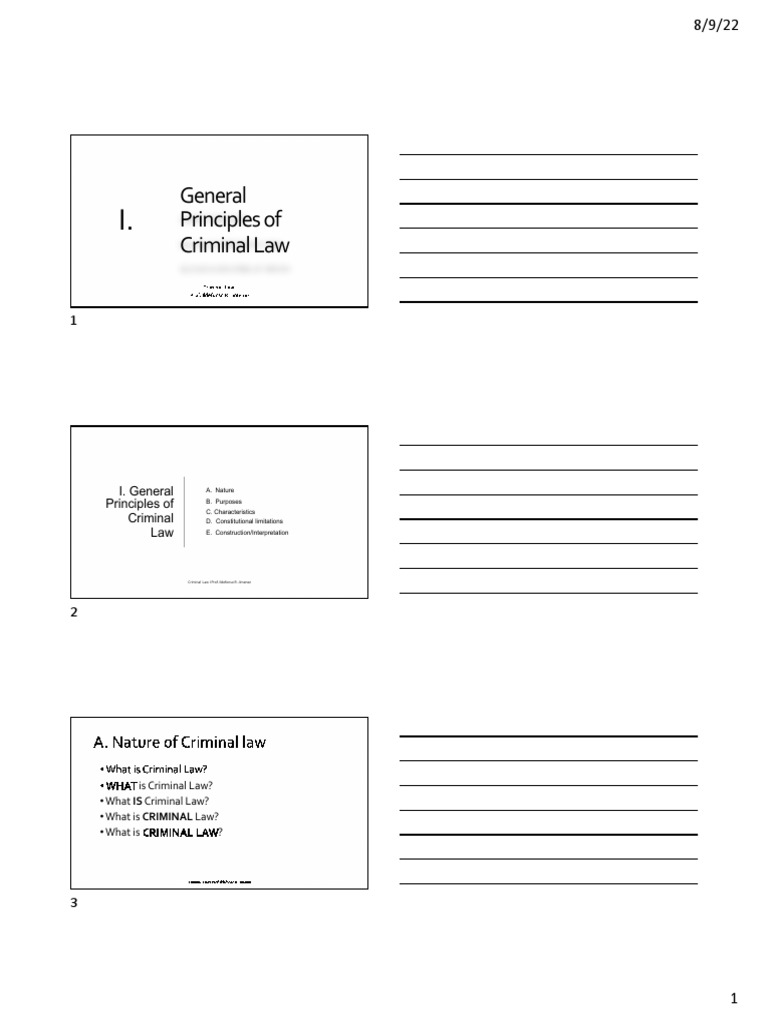 Overview Of Criminal Law Principles Pdf