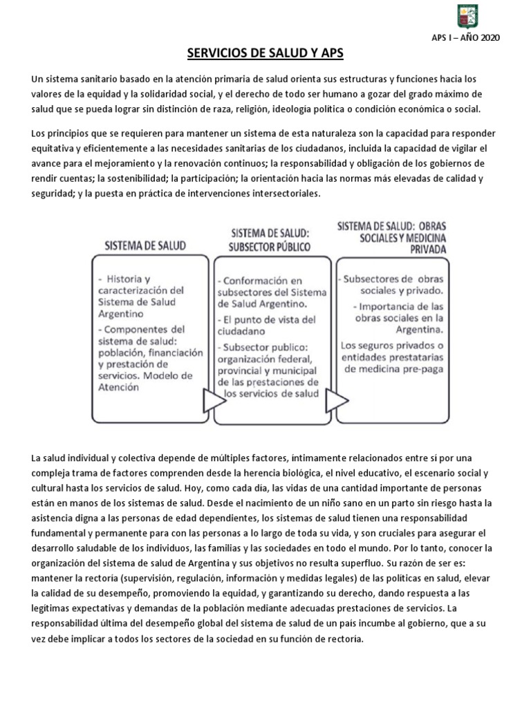 Organización del Sistema de Salud Argentino | PDF | Hospital | Cuidado ...