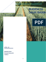 PKWU - Laporan Budidaya