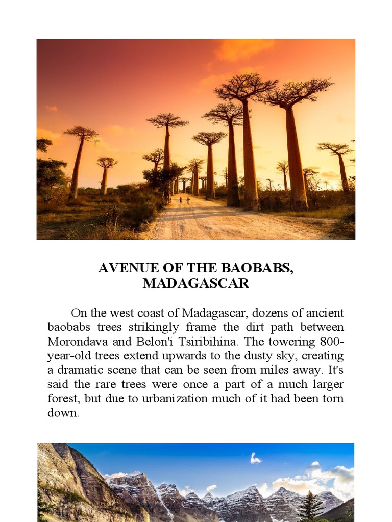 Avenue of The Baobabs | PDF