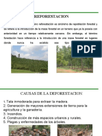 Reforestacion: Definicion