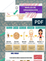 Niveles de Organización Quinto A