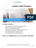 Accounts Payable Audit Program