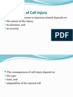 Cell Injury Mechanisms Explained