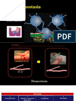 Hemostasia Medicina 2022med