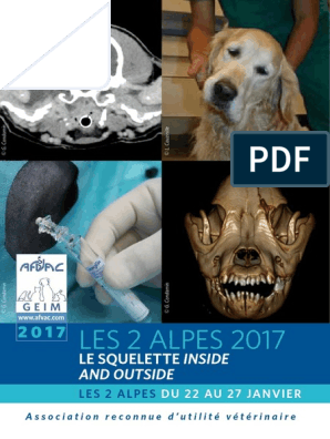 Scanner à Ultrasons Vétérinaire, Machine à Ultrasons Vétérinaire Ferme  Animaux Animaux de Compagnie Avec 3,5 MHz Sonde Convexe 8 Champs de Couleur