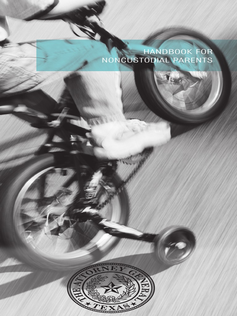 HANDBOOK FOR NonCustodial Parents PDF Child Support Contact (Law)