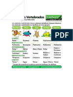 Disertacion Animal Vertebrado