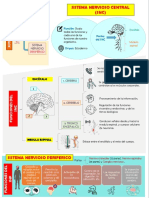 Sistema Nervioso_INFOGRAFIA