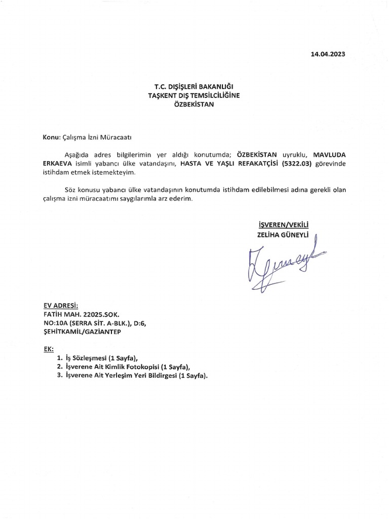 Dilek e Konsolosluk PDF