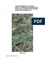 Mantenimiento Forestal