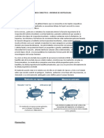 Mastocitos:: Tejido Conectivo - Informe de Histologuia Sebastian