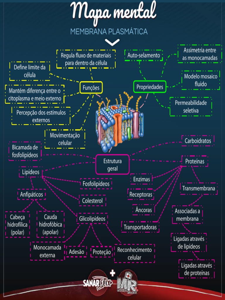 Mapa Mental Membrana Plasmatica Pdf