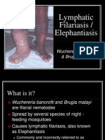Lymphatic Filariasis / Elephantiasis Caused by Wuchereria bancrofti & Brugia malayi