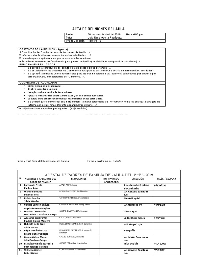 Acta de PPFF | PDF