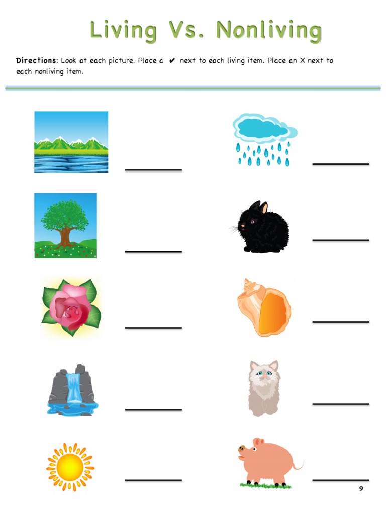 Living or Nonliving Worksheet PDF