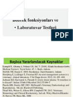 Böbrek Lab Teşhis