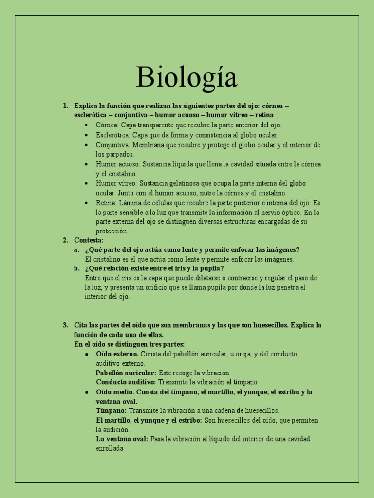 Sentidos Pdf Ojo Humano Oído