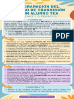 Proceso de Transición en Un Alumno Tea