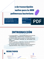 Ciclo de Transcripción Alternativo para La ARN Polimerasa Bacteriana