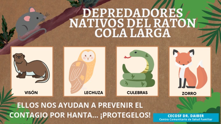 Depredadores Raton Cola Larga | PDF