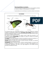 CIENCIAS-2°ciclo de animales