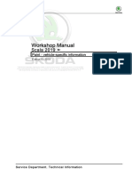 Skoda Scala 2019+ - Paint - Vehicle-Specific Information