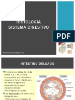 Histología Sistema Digestivo: Mariana Rosemblatt B