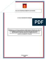 Escola de Aperfeiçoamento de Oficiais: Influência em Futuras Operações de Garantia Da Lei E Da Ordem em Ambiente Urbano