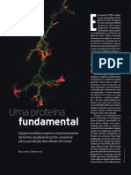 Proteína Fundamental