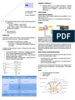 Resumenes de Neuroanatomia