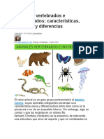 Animales Vertebrados e Invertebrados: Características, Ejemplos y Diferencias