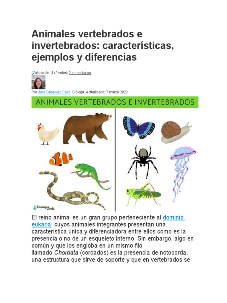 Animales Vertebrados e Invertebrados: Características, Ejemplos y  Diferencias | PDF | Vertebrados | Esqueleto, image size:768x1024