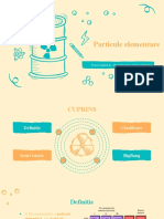 Particule Elementare: Proiect Relaizat De: Munteanu Iulia & Tomus Sebestian