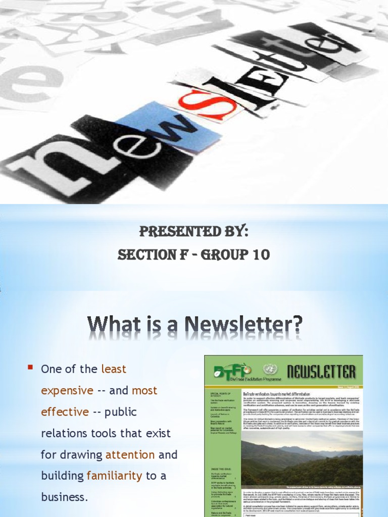 Effective Newsletter Strategies for Businesses | PDF