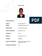 CV Sebatián Hernández