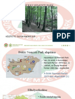 Bükki Nemzeti Park Alapítása