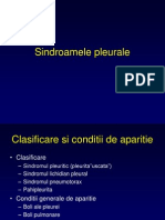 Sindroamele Pleurale Semiologie