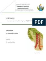 Manejo agroecológico de Prosopis laevigata como forraje animal