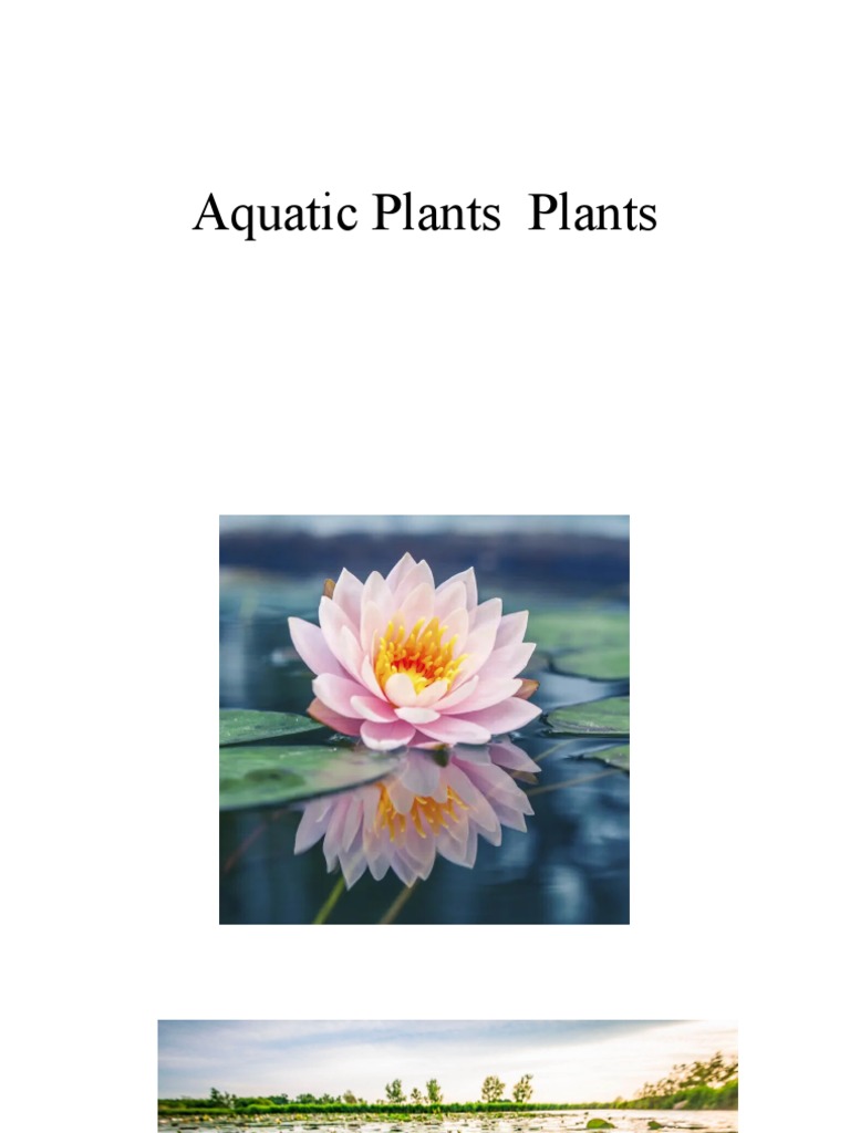 Aquatic Plants PDF