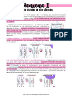 18avo Teo TECNICAS PARA EL ESTUDIO DE LAS CELULAS 1