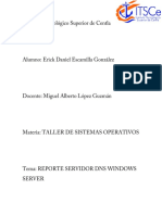 Reporte Servidor DNS Windows Server