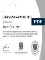 Anahi Cruz Lopez: Certification That