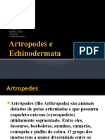 Artropodes e Echinodermata: 2D Alunos