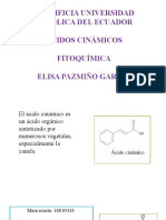 Pontificia Universidad Católica Del Ecuador Ácidos Cinámicos Fitoquímica Elisa Pazmiño García